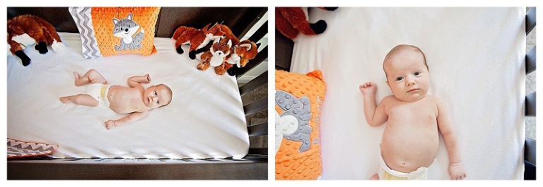  Fox-themed nursery | Houston Newborn Photographer | Domus Aurea Portraits by Renee www.reneestreett.com