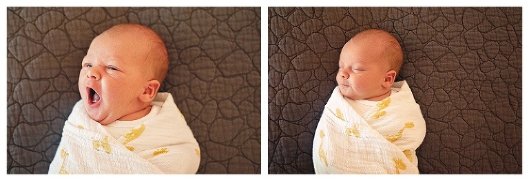 Emmett |  Houston Newborn Photographer | Domus Aurea Portraits by Renee www.reneestreett.com