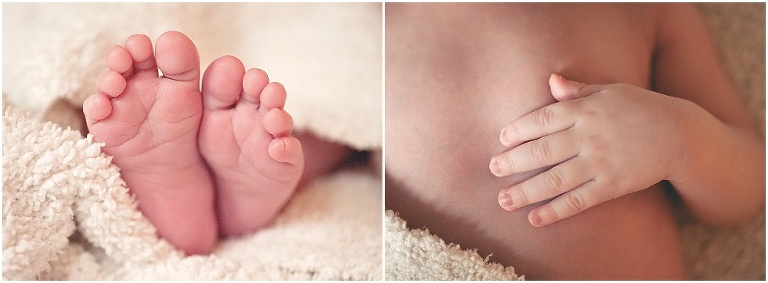 Houston Newborn Photographer | Domus Aurea Portraits by Renee