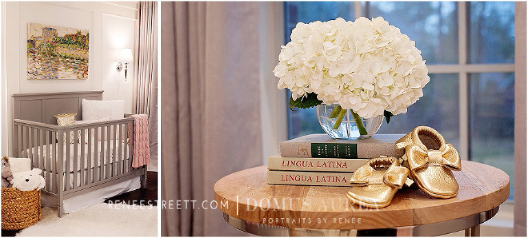 Houston Newborn Photographer - Girl Nursery