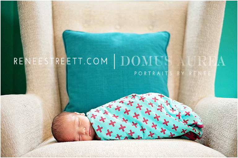 Best Houston Newborn Photographer | Domus Aurea Portraits by Renee