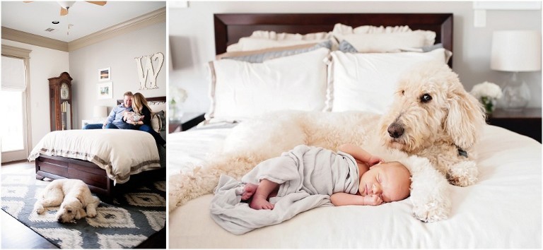 Houston Newborn Photographer