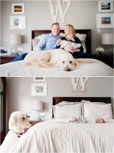 Houston Newborn Photographer