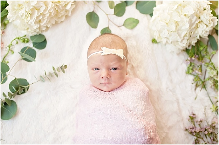 Houston Newborn Photographer