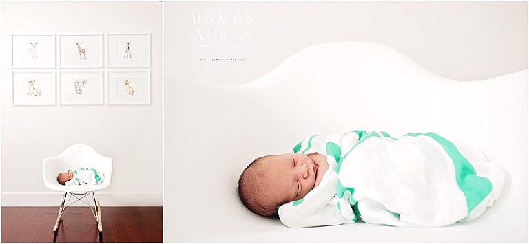 Houston Newborn Photographer