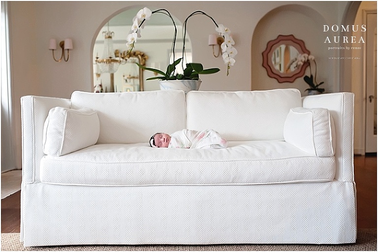 Modern newborn portrait of baby laying on white couch.