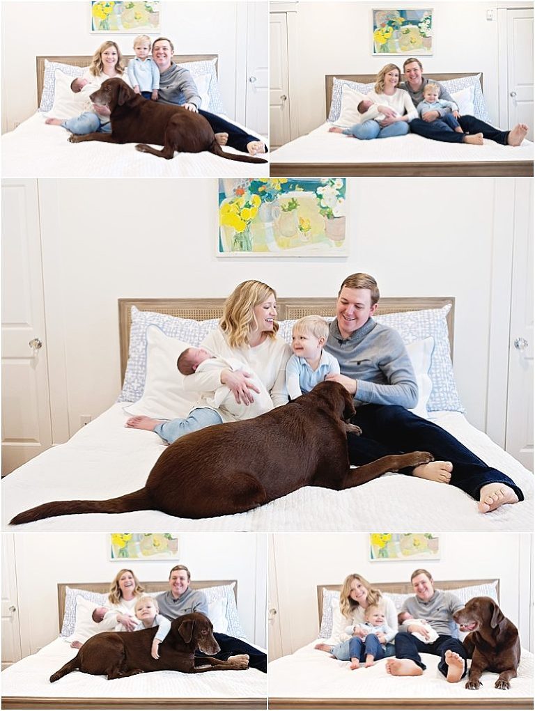Sweet newborn session sitting on the bed with their dog.