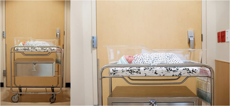 houston newborn photographer fresh 48