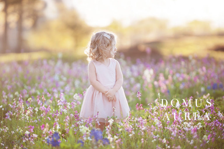 beautiful girl in field of flowers