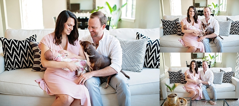 newborn session portraits including dog