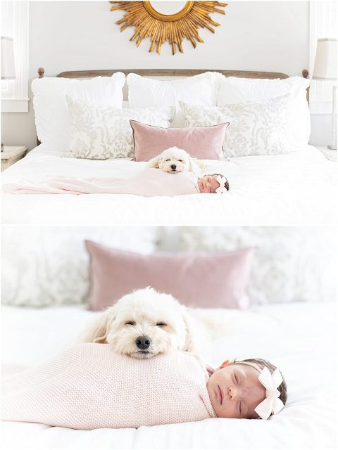 Dog lays head on newborn baby during photoshoot