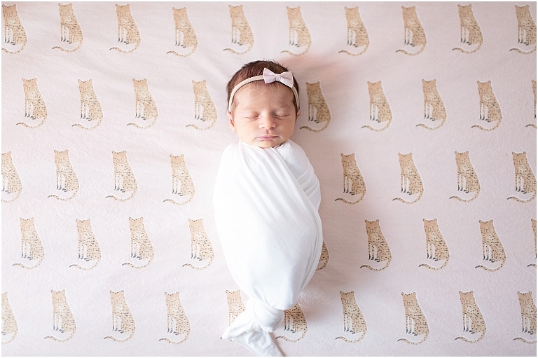 Creative Lifestyle Newborn Images - Dallas Fort Worth Newborn Photographer 